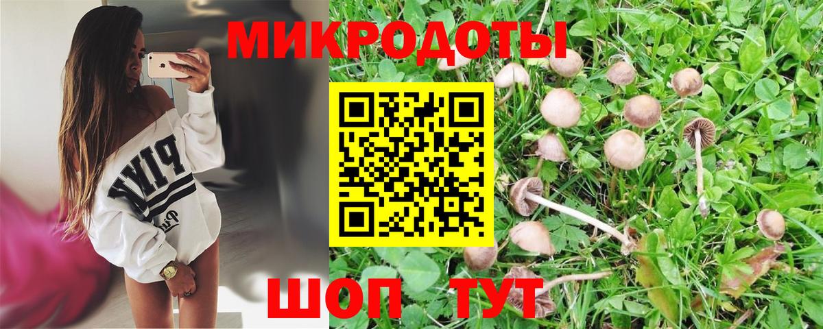 Уварово  Галлюциногенные грибы GOLDEN TEACHER  Вход с VPN 